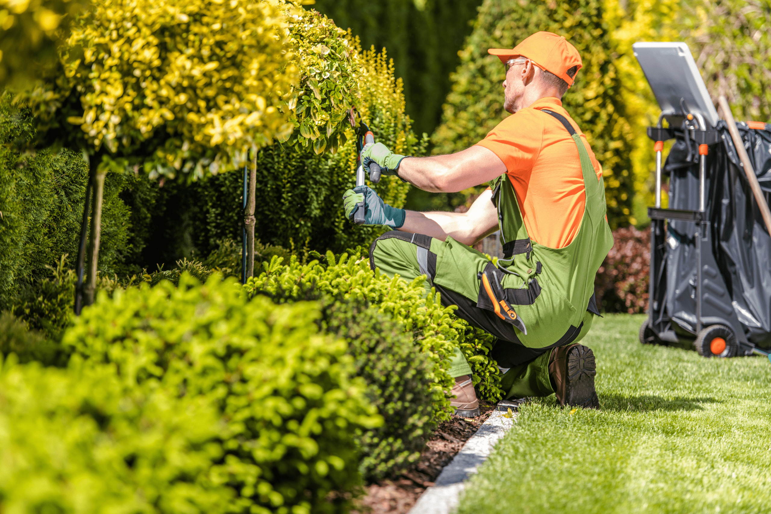 Image of a landscaper to introduce our blog titled 'Marketing for Landscapers'