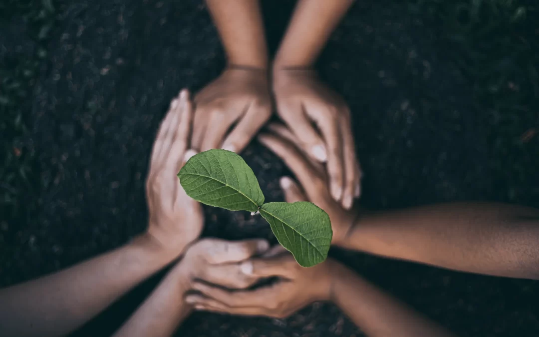 Eco-Friendly Marketing - Image of hands caressing a plant.