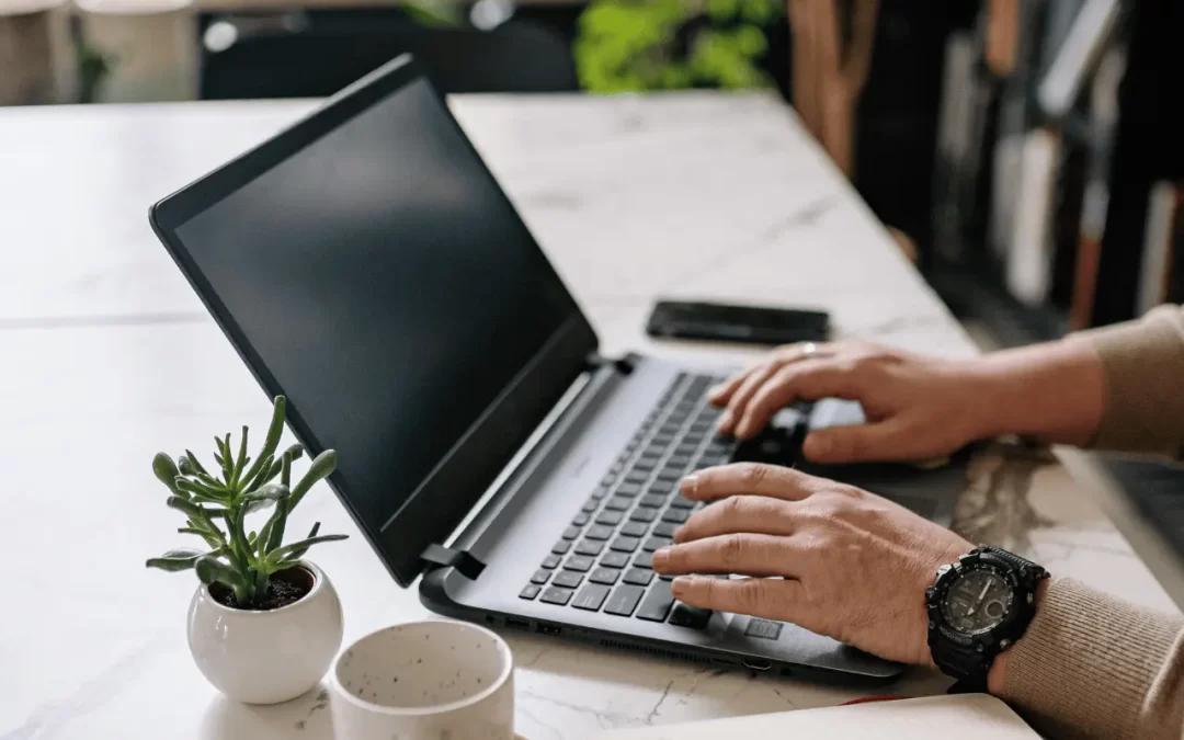 How to Improve Website Visibility Without Paid Ads and How We Can Help